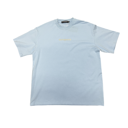 DSAYDTSS T-Shirt (blue)